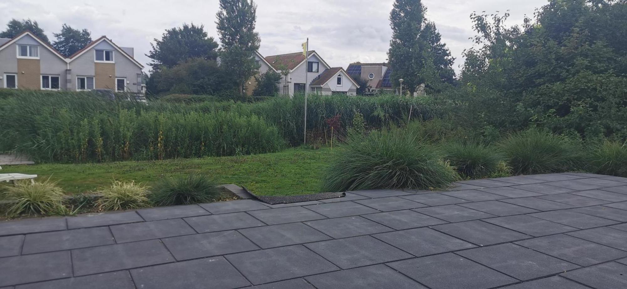 Prachtige Vakantievilla Aan Ijsselmeer Makkum Extérieur photo