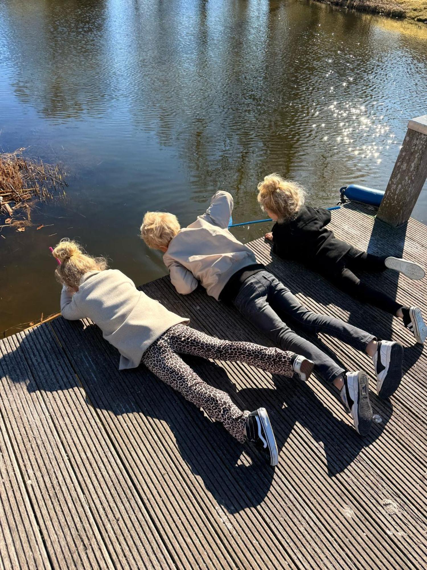 Prachtige Vakantievilla Aan Ijsselmeer Makkum Extérieur photo